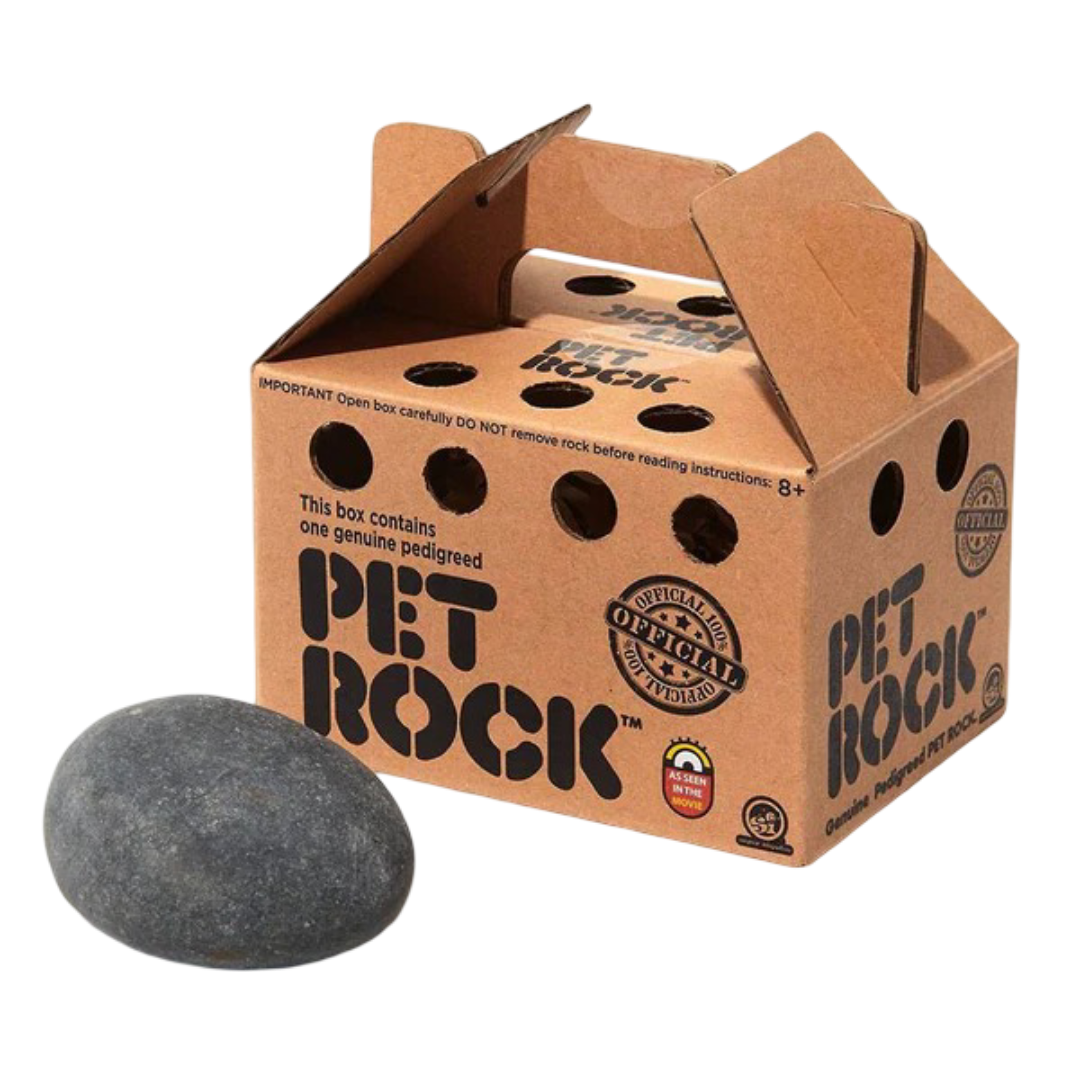Imagen de pet rock fuera de la caja