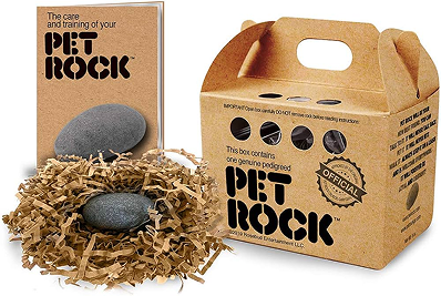 Vista frontal de Pet Rock Original